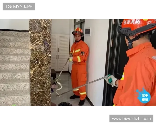 必威体育电脑版安全保障措施详解确保用户个人信息与资金安全的多重防护策略