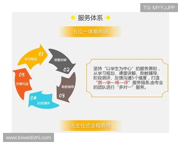 bob电子的售后服务与客户支持体系详解，保障用户权益的实用信息