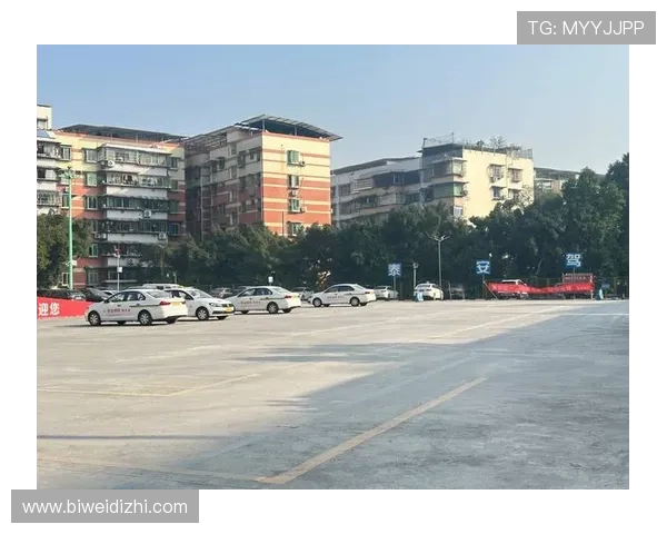 掌握骰宝模拟中的常见误区与避免方法助你成为游戏中的赢家