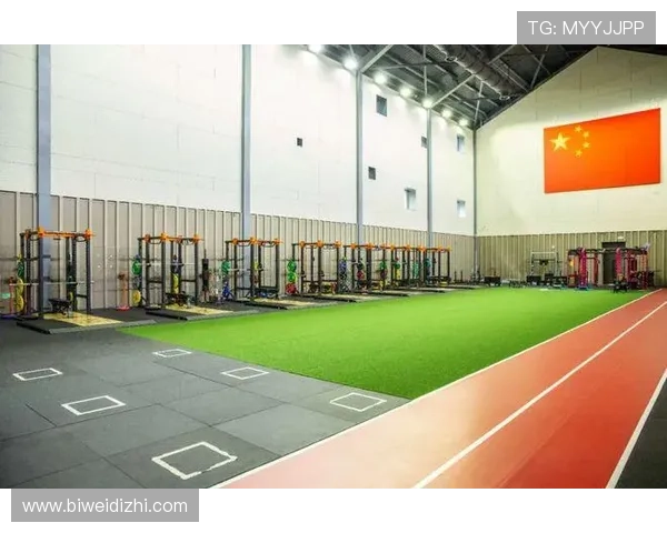 三亿体育链接的用户评价与使用心得，帮助新用户快速上手和选择合适的观看方式